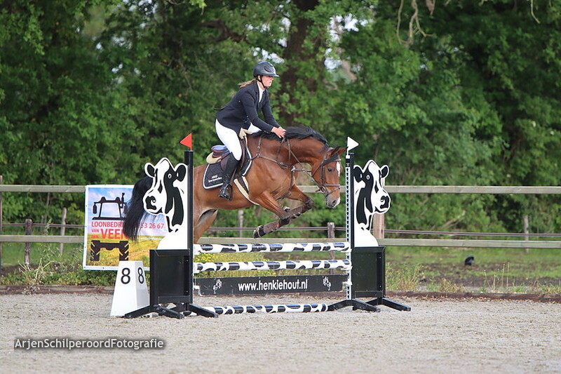 Hippisch Festijn PSV Polarfurst 2022 80 CM