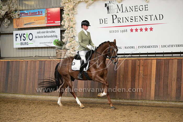 Ingrid Gerritsen - Silvercloud Vogelzang