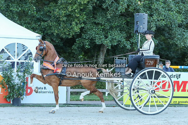 TP Dames 2 Wielig Kampioenschap