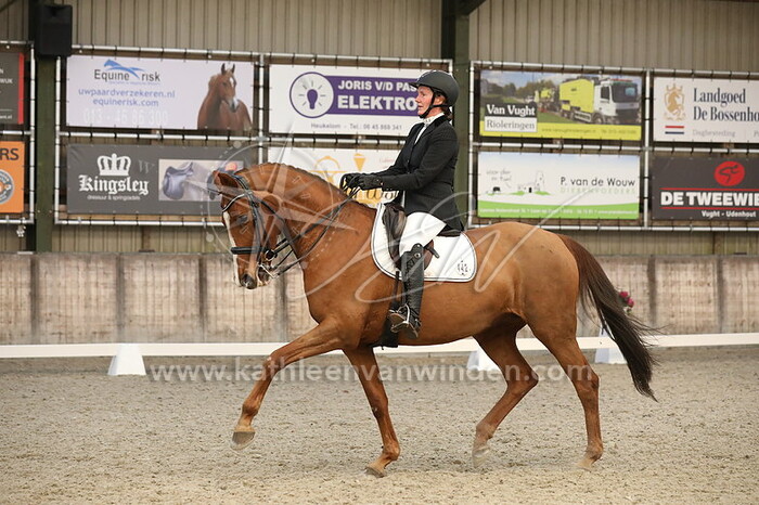 Miranda Jongstra - Elsatrichta