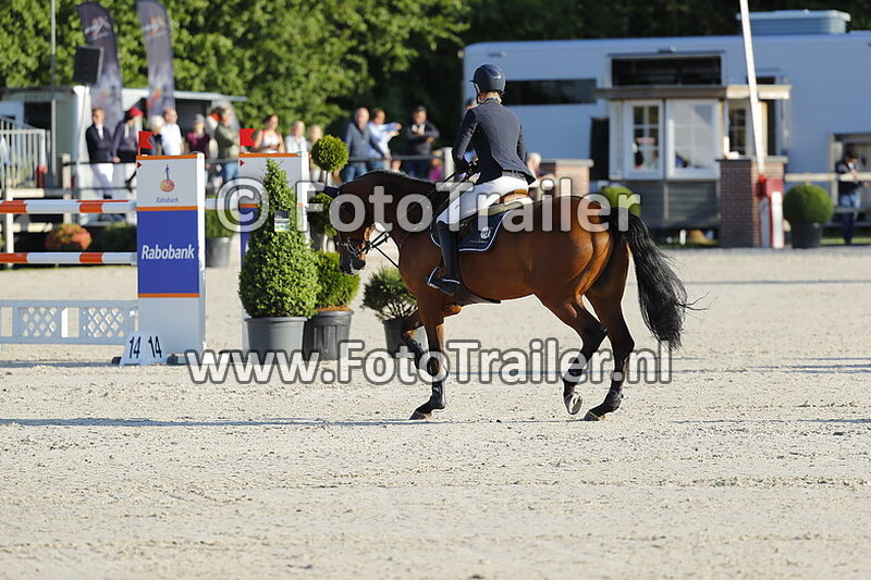 mareille van geel schroder