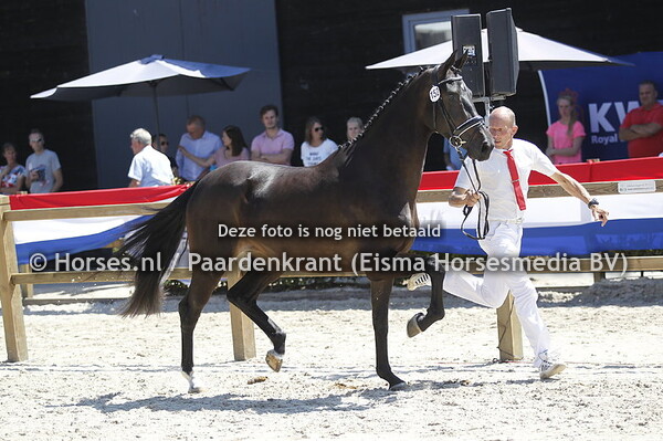 152 Keramiek v Governor