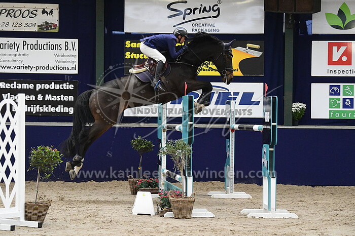 Tim Lips - Camillo de Beussent