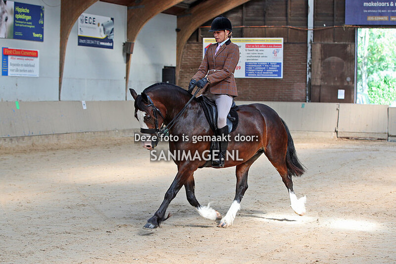 NWPCS Centrale Keuring Houten 26-08-2023 Gebruikersrubrieken (binnen)