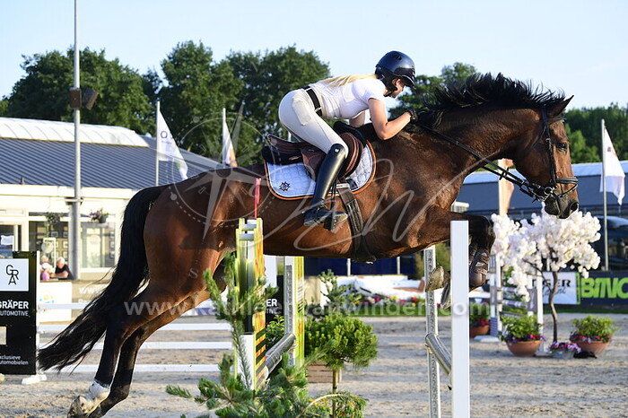 Yvonne van Dis - Quabri van het Haringvliet Z