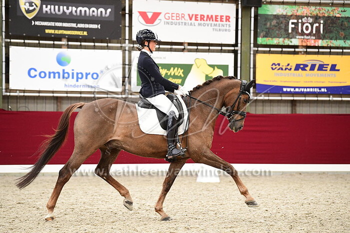 India van Lokven - Crackster S