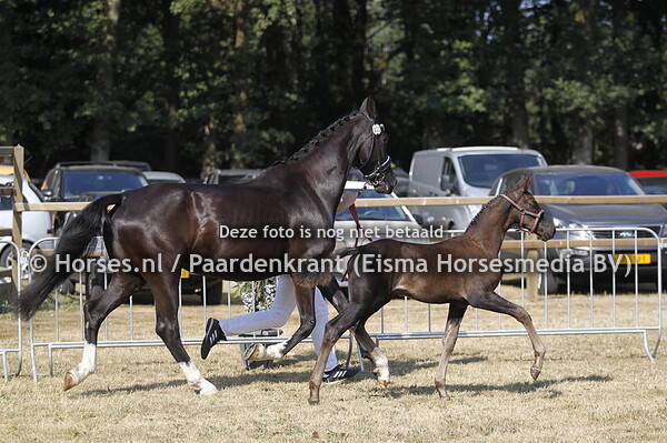 33 Narouaya Gemma Texel v Jupiler S
