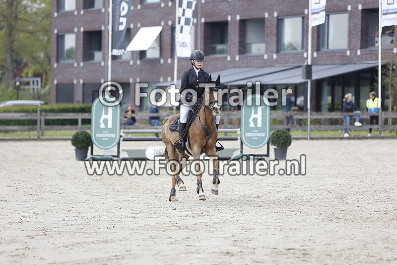 marlique hondenbrink