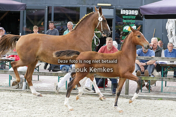 005 - URSULA B NEON GSM X GUDEROOS G. BOVERHOF, ANSEN