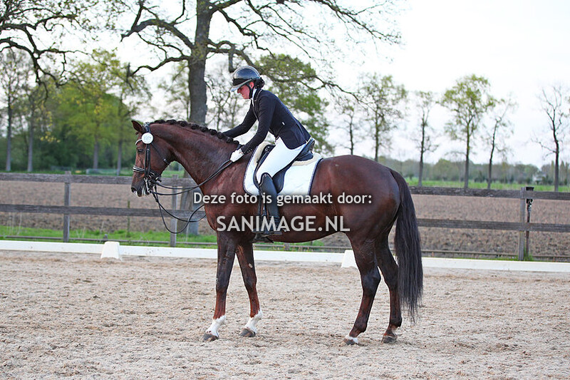 Manege Groenewoude Dressuur 30-04-2023 Avond