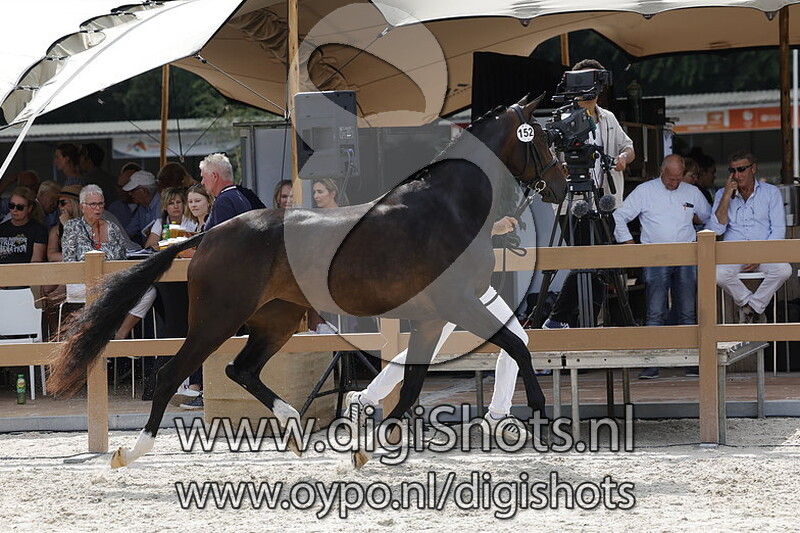 Prima Daula v. Jameson RS2