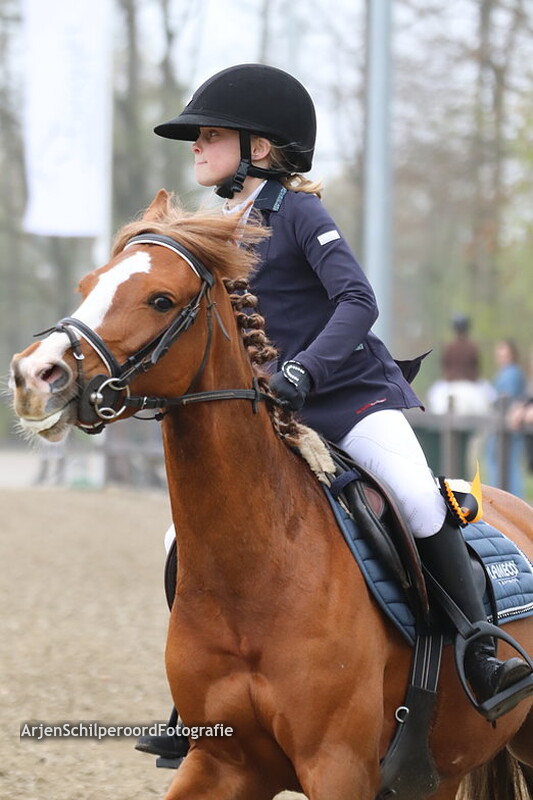 Hippisch Nieuwleusen  B AB Prijsuitreiking