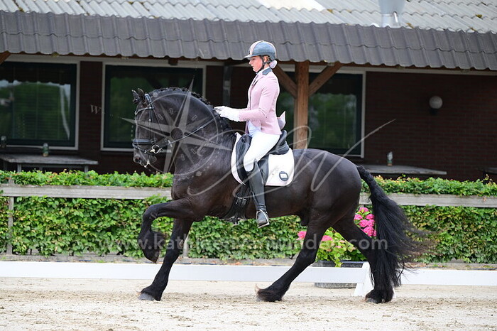 Robin Scholten - Brexit