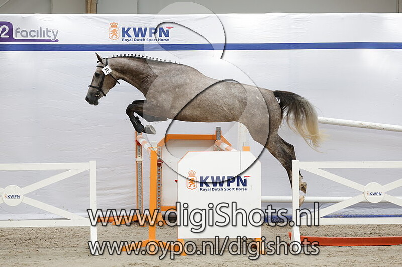 Polita v. Justice HL