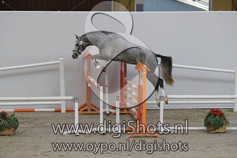 040 Coco C Est la Vie v. Coco Bongo Boy