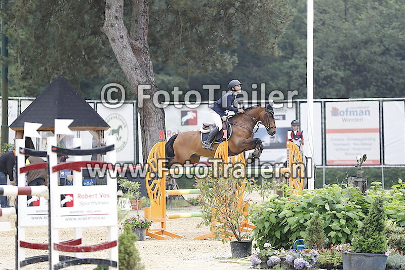 Ingemar Hammarstro¨m