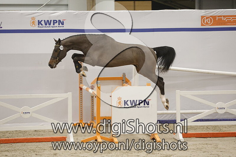 Zoom Zoom Lf Star 2p Z v. Zambesi - 156