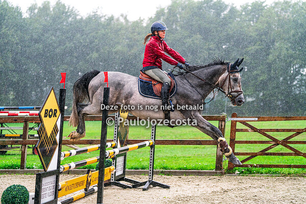 Springwesdstrijd Het Gouden Hert 80/90cm 12-08-2023