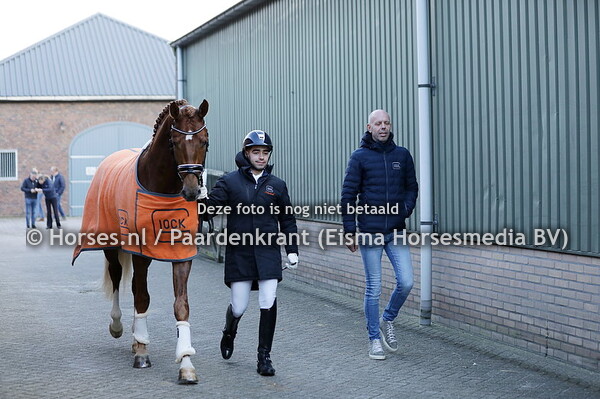 43 Pablo Picass0 (Taminau x Florencio)