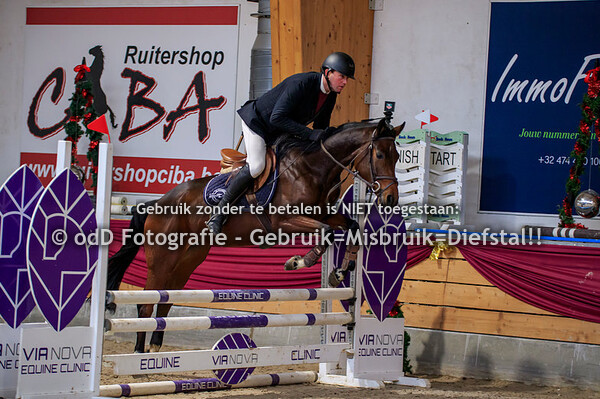 NY Jumping Warredal Finals 4y Horses 08-01-22