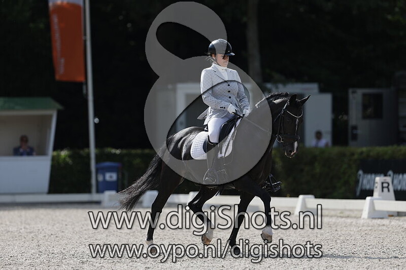 Ring 6 Z1 cat DE overkampen