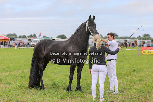 Rubriek 7 premiekeuring 4 jaar en ouder