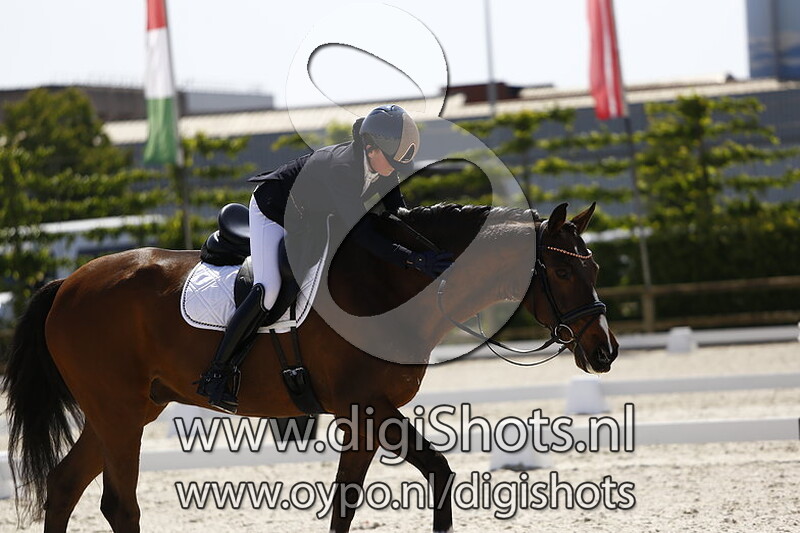 Bonaire van de Mottelhoeve