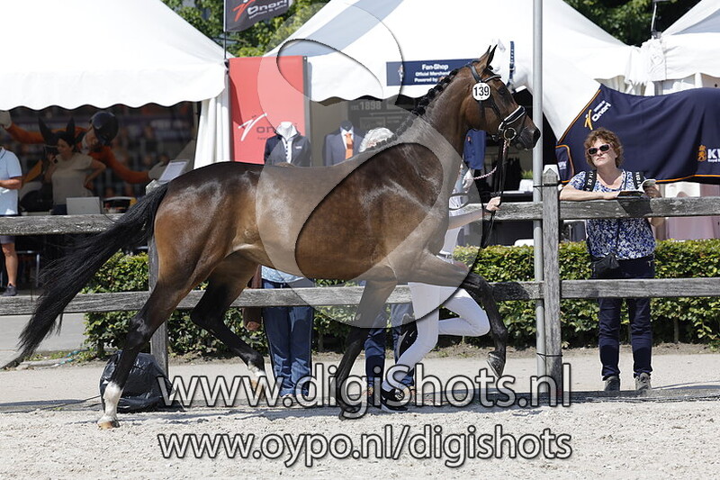 Picanory v. Escamillo