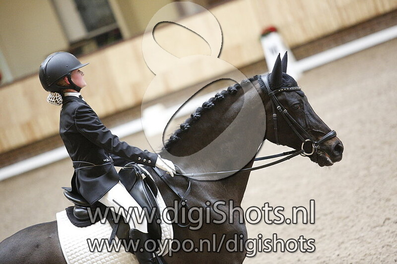 Brummershoeves Pulsar H