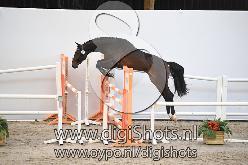 Mattie v. Contendro II