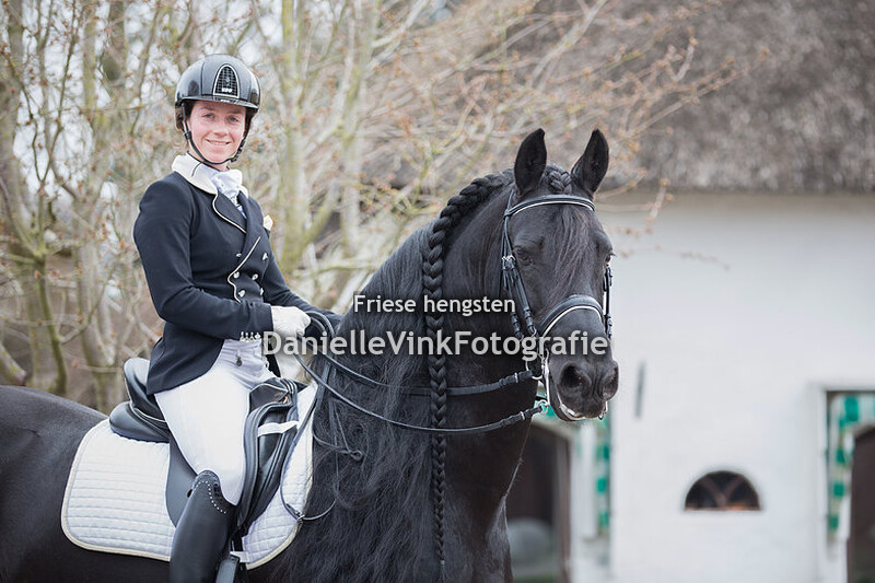 Hengstenshow Lunteren 02-04-2018 Wolfert 467