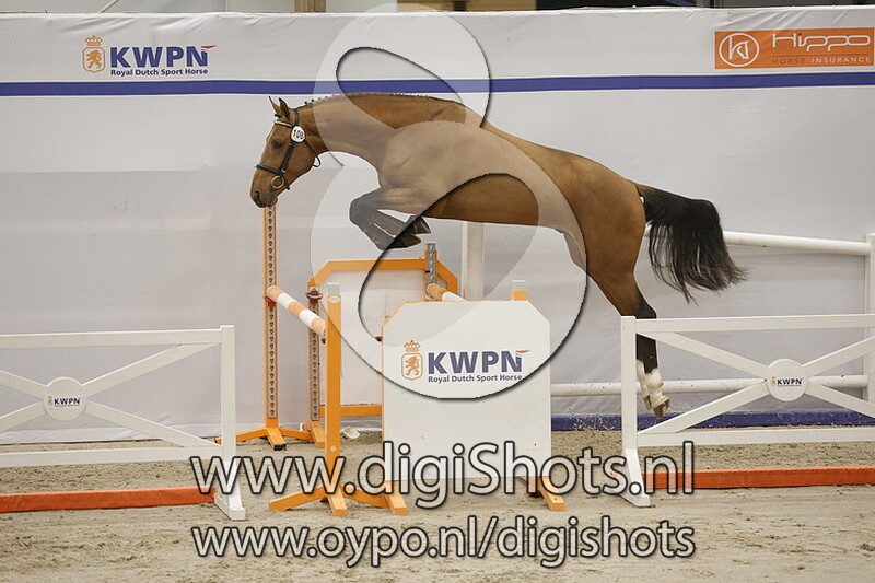 Royal Chique H&h v. Lennon Hbc - 108