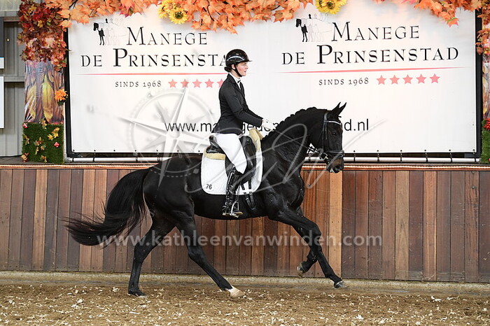 Roxanne Cappelle - Oleander F