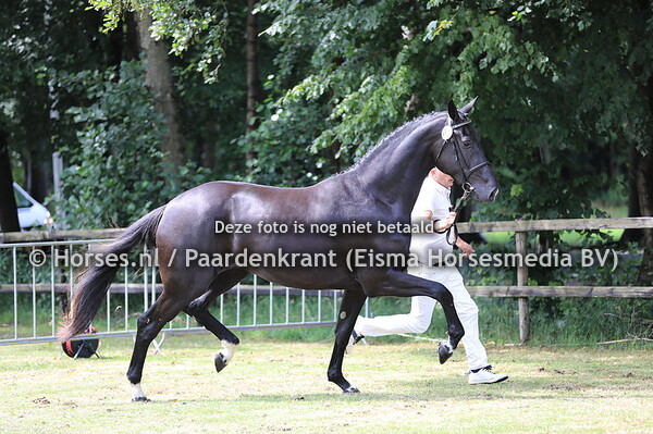 87 Dante Dieni v Dante Weltino