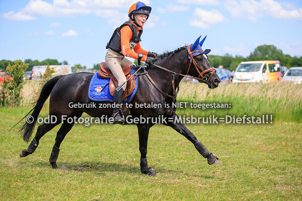 Vonk Event Paard B Pony L 18-05-25