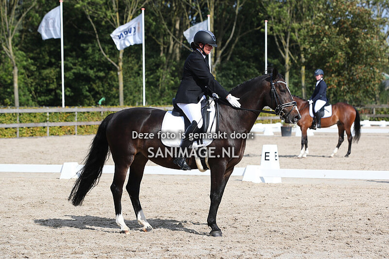 Zilfia's Hoeve Dressuur 01-10-2023 Paarden L
