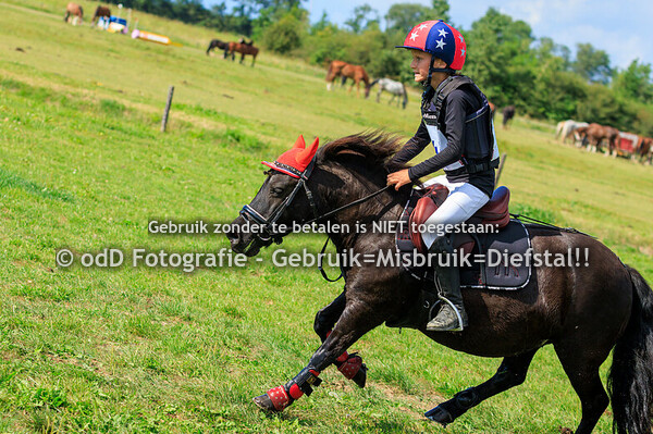 SGW Geestmerambacht Paard BB Pony B 11-08-24