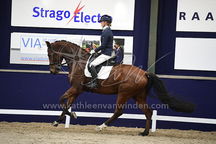 Ilvy Konings - Novellini