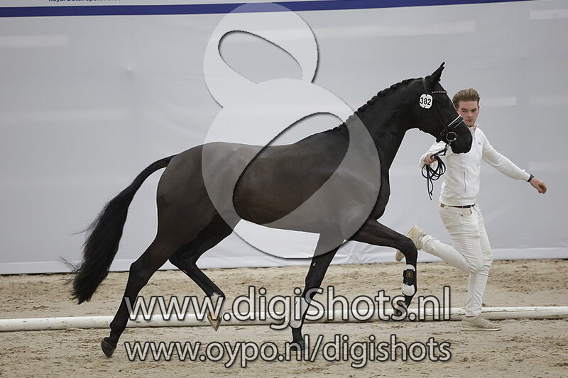 Phantom v. Glock's Toto Jr - 382