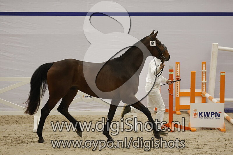 Suslov D v. Conthargos