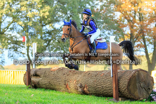 Eventing Barchem 26-10-19