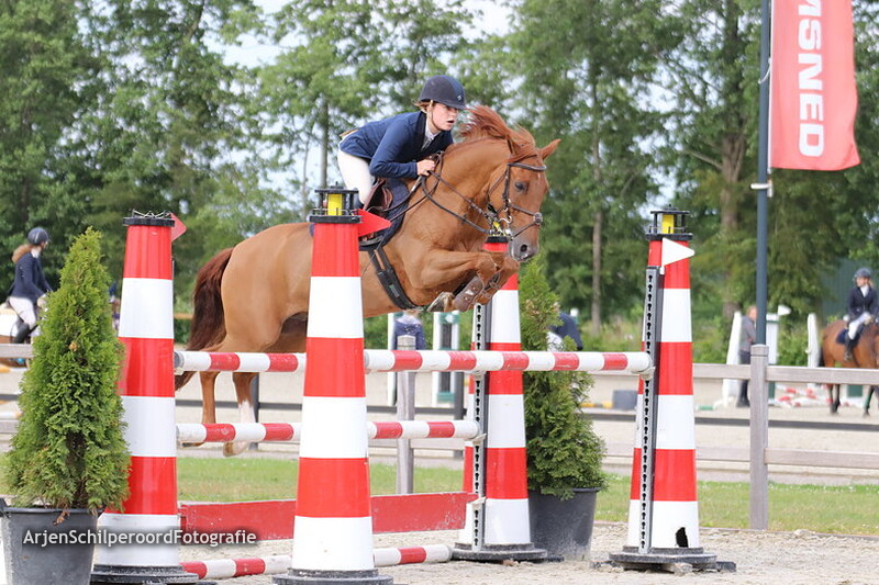 Tolbert 06-06-2019 Pony's