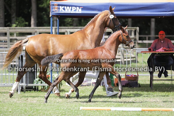 6 Vriend van het Woldhuis