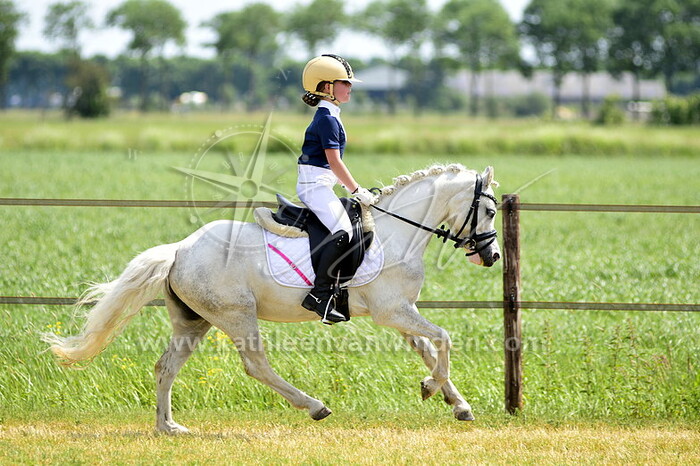 10.00 - 12.00 ring 3