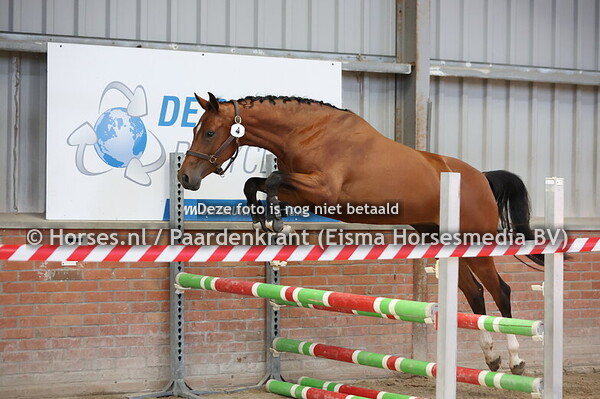 4 Sky (Kensington ES x Desteny v. Van Gogh)