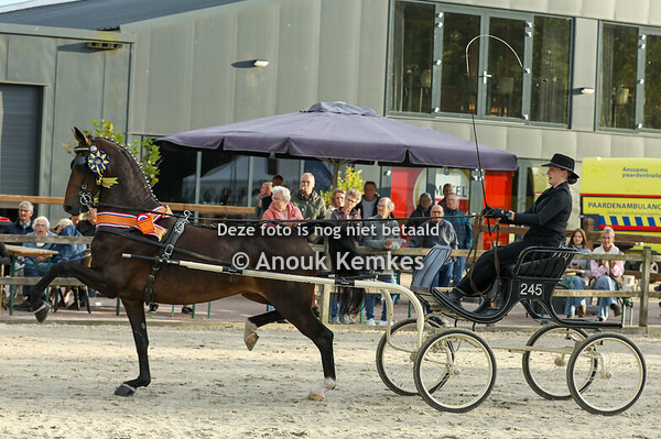 TP Fokmerries Kampioenschap