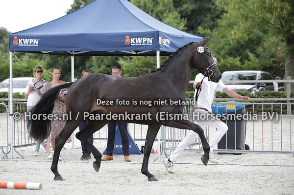 134 O-Luna-Endy (Kingston x Happuy Endy v.Furst Romancier)