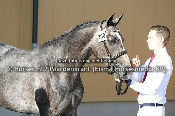 200 Saragossa KJV (Andiamo Semilly x Cinzano v. Berlin)