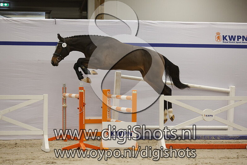 Starlington Rock v. Defender VDS