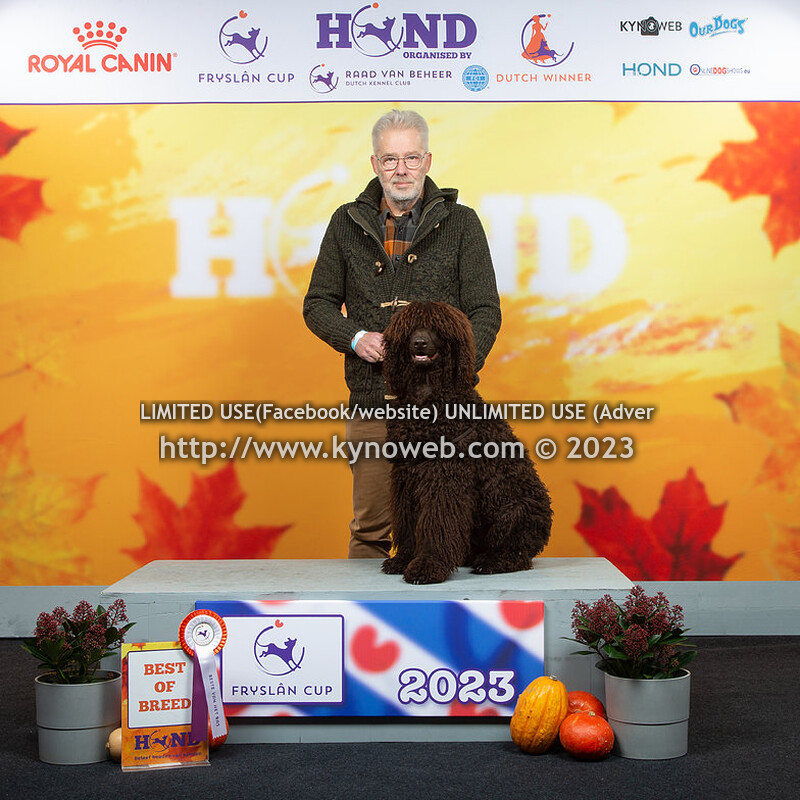 BEST OF BREED & EXPRESS